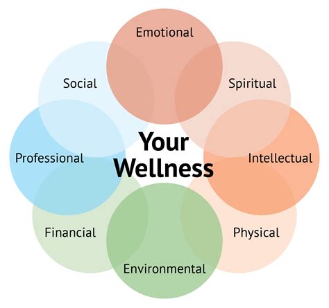 Your Wellness Wheel: Why Balance Is Key to a Healthy ...