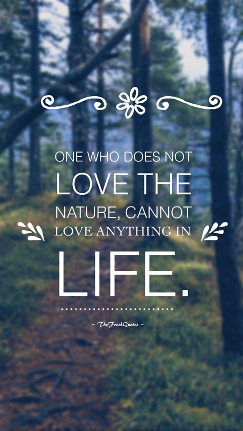 72 Environment Quotes And Slogans Save Our Beautiful Earth