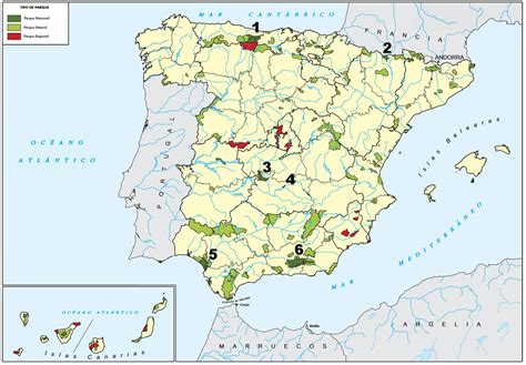 Vegetación Parques Nacionales Prácticas 5 Blog De GeografÍa 2º