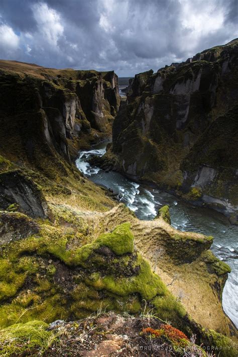 Fjaðrárgljúfur The Most Beautiful Canyon In The World Daily Viral