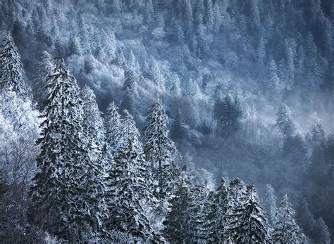 Winter In The Smokies Great Smoky Mountains National Park Photograph