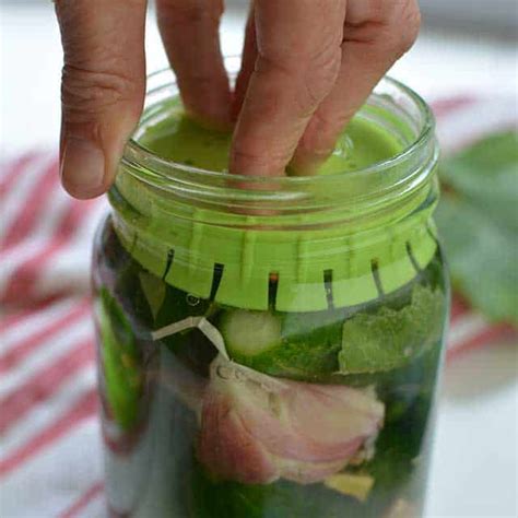 If the pickling solution is fresh and has not been used to make pickles, cover it and store it in the refrigerator for later use. Naturally Fermented Pickles [The Complete Guide ...