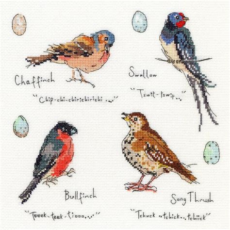 Garden Birds 3 Counted Cross Stitch Kit By Bothy Threads Etsy