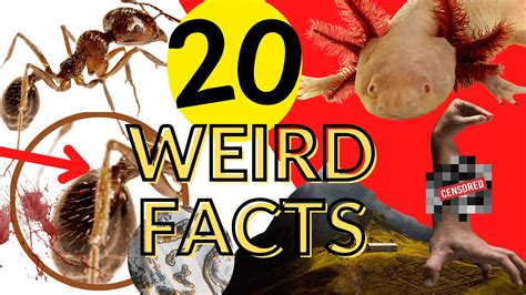 20 random facts that will blow your mind youtube