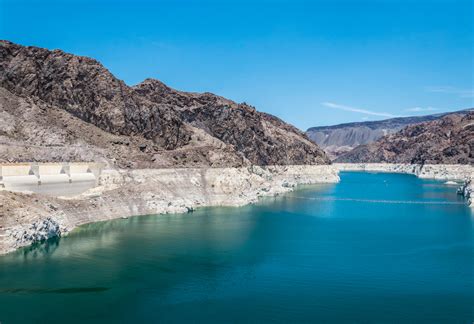7 Fun Facts You Didn't Know About Lake Mead | Gray Line ...