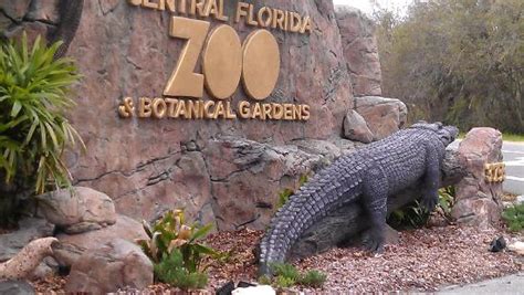 Central Florida Zoo And Botanical Gardens All In Orlandoall In Orlando