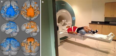 Set Up And Sample Data From Functional Magnetic Resonance Imaging
