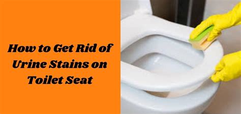 how to get rid of urine stains on toilet seat easy breezy solution
