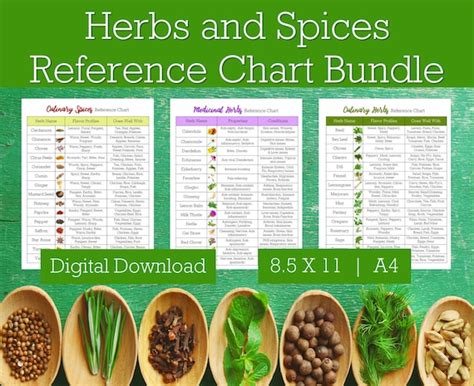Herbs And Spices Reference Chart Bundle Spices And Herbs Etsy India