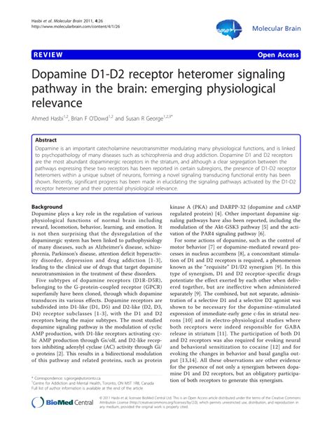 Pdf Dopamine D1 D2 Receptor Heteromer Signaling Pathway In The Brain Emerging Physiological