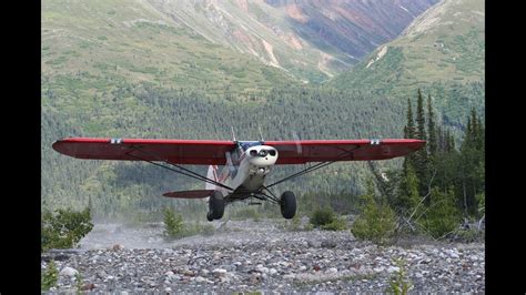 Super Cub Alaska Dall Sheep Youtube