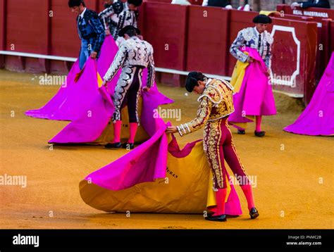 Matador Torero Or Toureiro In Traditional Clothing Bullfight