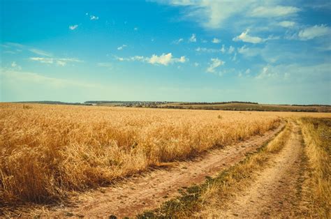 Free Images Landscape Path Horizon Sky Prairie Countryside