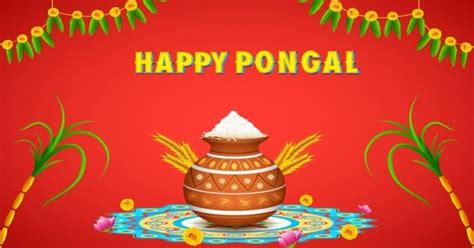 Pongal 2018 Date Time Significance Celebration And Rituals Of The