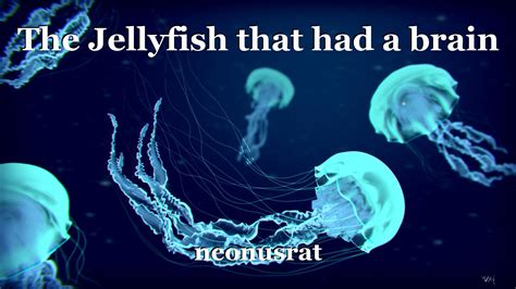 The Jellyfish That Had A Brain Book By Neonusrat
