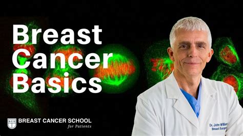 Breast Cancer Basics Video Course Breast Cancer School For Patients