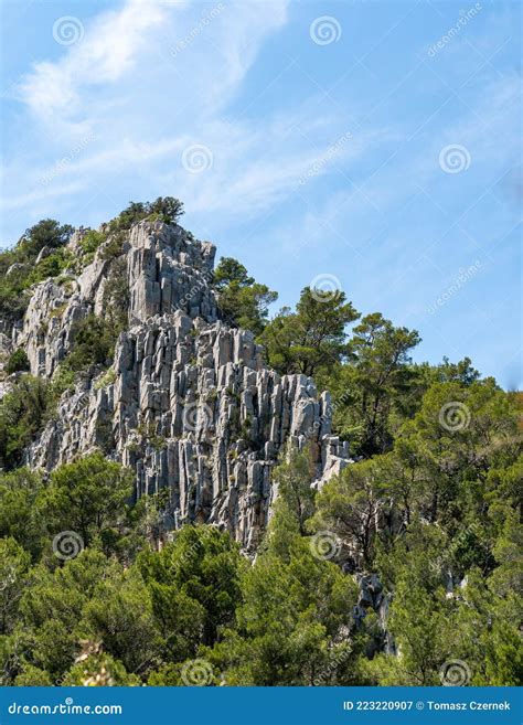 Tall Beautiful Climbing Rocks In A Dense Forest Stock Image Image Of