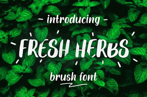 We have collected 50 beautiful, clean and stunningly crisp free fonts that will hopefully make your search for that perfect font that little bit easier. Fresh Herbs font By yurlick | TheHungryJPEG.com