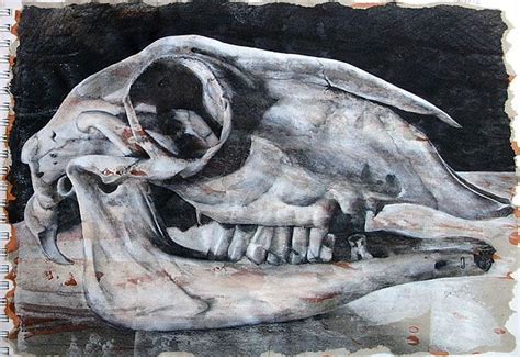 Aaox3, memory intact, fund of knowledge appropriate lang/speech: The International GCSE Art project that you've been ...