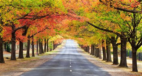 Autumn In The Macedon Ranges Of Victoria Apr 01 2017 To May 07 2017
