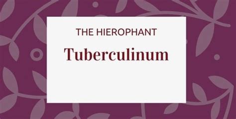 Tuberculinum Homeopathic The Hierophant