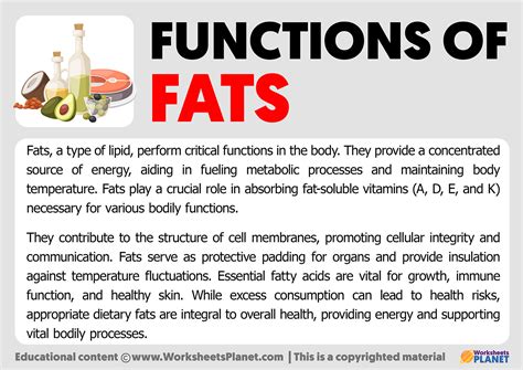 Function Of Fats