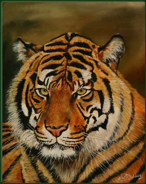 Portrait Tiger Nico Bulder Wildlife Painter