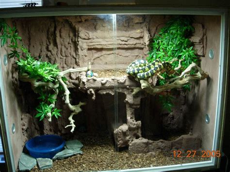 Explore 27 listings for corn snake vivarium accessories at best prices. Reptile Tanks Terrarium | Reptile tank, Snake cages, Snake ...