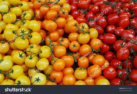 Fresh Yellow Orange And Red Tomatoes On A Market Stand Stock Photo