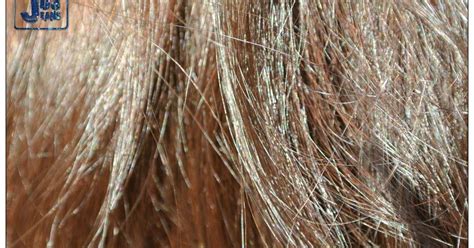 Aujourd'hui je vais tout vous expliquer sur comment je colore mes cheveux blancs de façon naturelle avec le henné et la coloration végétale. ma première coloration végétale sur cheveux blancs # ou ...