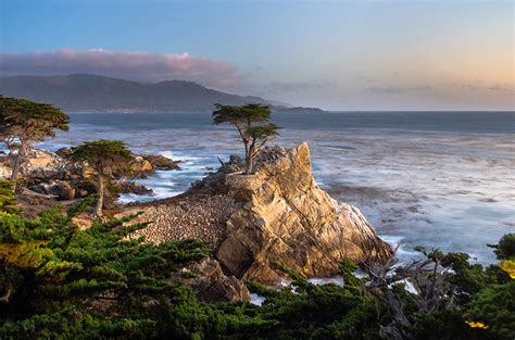 Images California Usa Pebble Beach Rock Nature Scenery Coast Trees