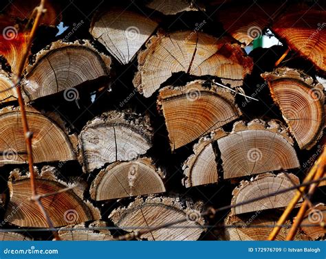 Stacked Brown Textured Firewood Logs in Closeup View Stock Image