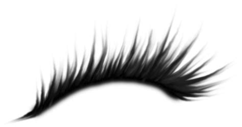 Eyelashes icon isolated transparent background, vector illustration. Eyelash PNG