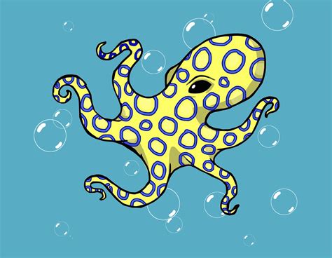 Blue Ringed Octopus Free Image Download