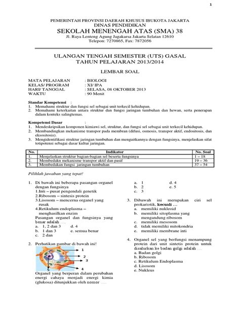 Langsung saja cek soal dan jawabannya dibawah ini ya. Contoh Soal UTS SeL dan Jaringan Tumbuhan