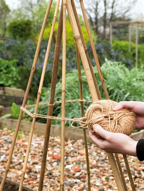 If your bean tipi is in a lawn, put down a layer of cardboard or newspaper with heavier mulch (like wood chips) on top. Growing Runner Beans | Runners, At the top and Ties