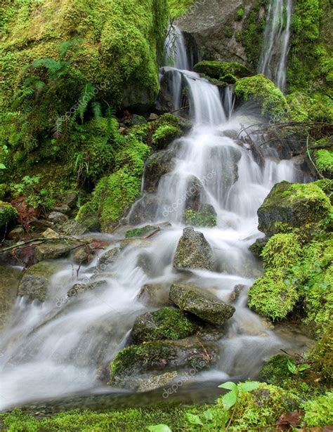 Pacific Northwest Mossy Waterfall — Stock Photo © Eppic 1268468