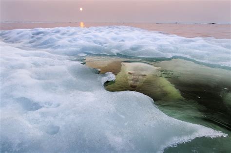 Winners Of The 2013 National Geographic Photo Contest