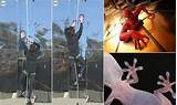 Gecko Gloves To Climb Walls Pictures