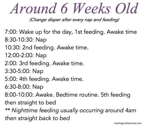 Your little one is likely snoozing for about 14 hours a day, although anywhere from 12 to 16 hours is within the realm of normal. Birth to 6 Months Baby Schedule | Baby schedule, Baby ...