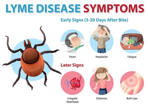 Lyme Disease Borreliosis Healthaid®