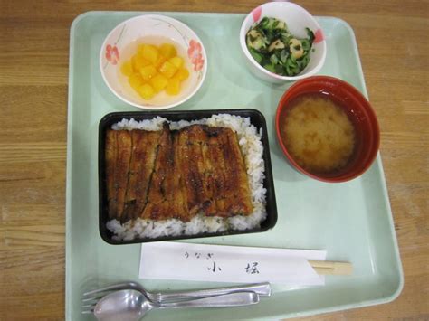 Learn japanese n4 grammar ように・ような (you ni/you na). ☆うなぎ食事会を行いました☆ - 社会福祉法人 同仁会