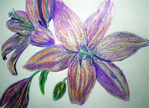 Watch our channel for unlimited drawing tutorials almost on every subject. Colored Pencil Flowers Drawing by Lisa Stanley