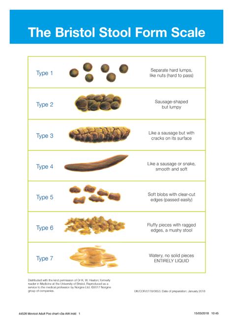 Best Bristol Stool Scale Explained Of All Time Learn More Here Stoolz