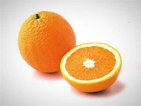 shamouti sweet semi dwarf orange tree