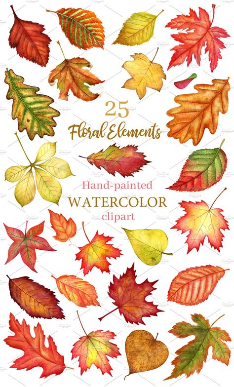 Autumn Leaves Watercolor Clipart Artofit