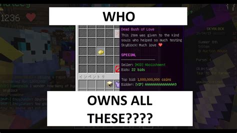 Who Owns All Of The Dead Bushes Of Love In Hypixel Skyblock Youtube