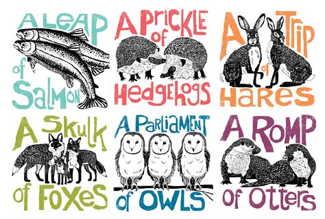 Intelligence is not information alone but also collective nouns for animals. In today's post, I'd like to look at collective nouns and ...