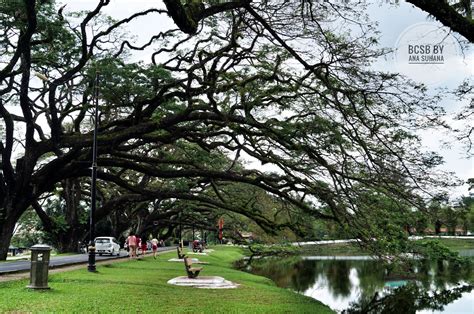 Anda mesti sudah tahu taman tasik taiping yang cantik dan aman ini tapi tahukah anda sejarah dan cerita di sebalik taman. Tempat Menarik di Perak : Taman Tasik Taiping - Ana Suhana