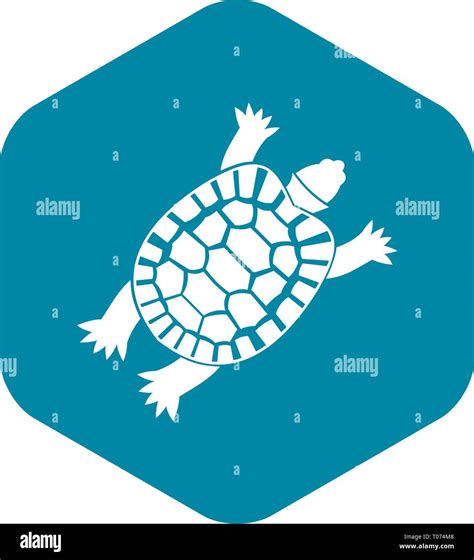 Turtle Icon Simple Style Stock Vector Image Art Alamy